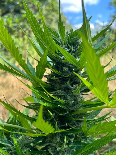 Growreport Bild 18