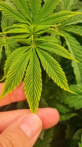 Growreport Bild 6