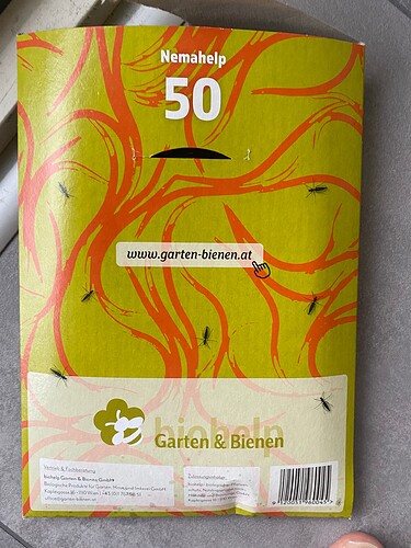 Growreport Bild 4