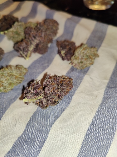 Growreport Bild 34