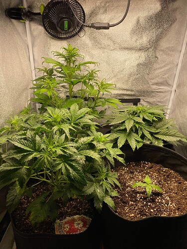 Growreport Bild 4