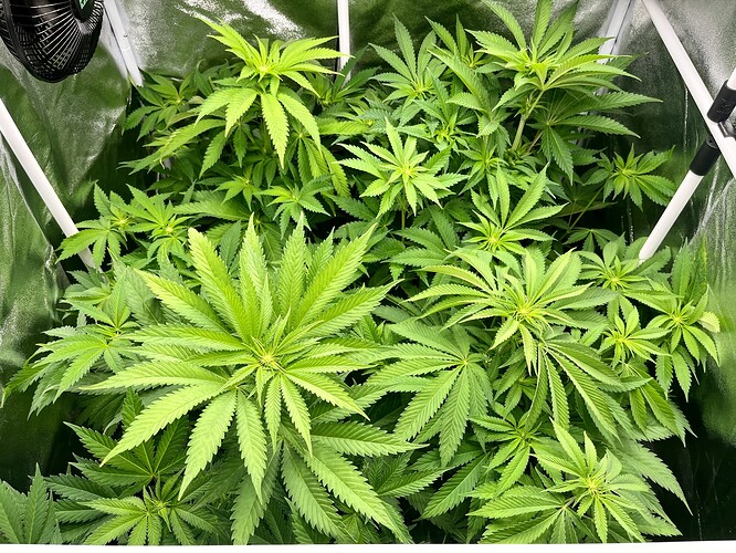 Growreport Bild 5