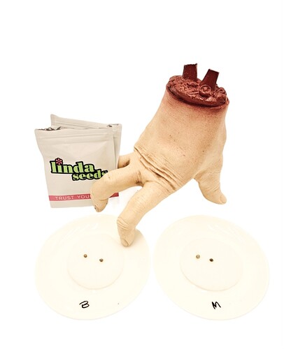 Screenshot_20231124_131811