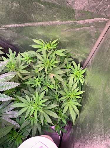 Growreport Bild 5