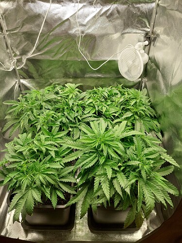 Growreport Bild 8