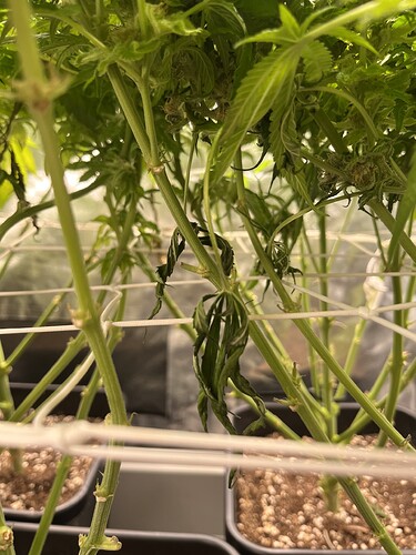 Growreport Bild 4