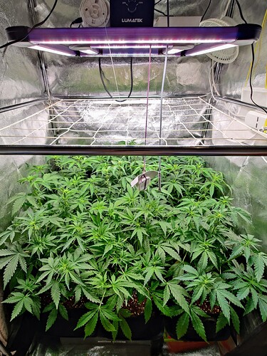 IMG_20230120_080103~2