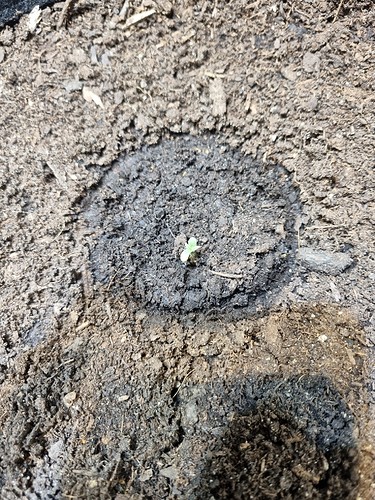 Growreport Bild 10