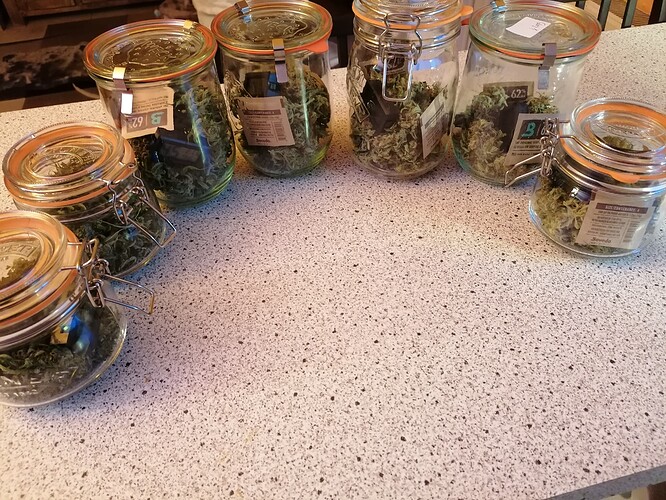 Growreport Bild 28