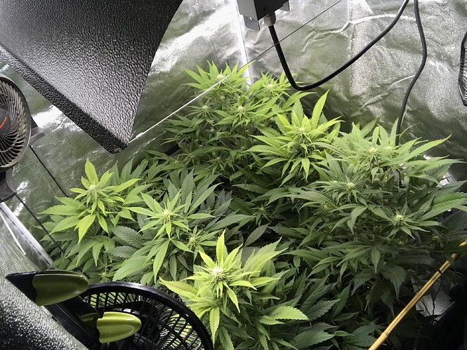 Growreport Bild 12