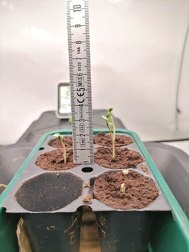 Growreport Bild 20