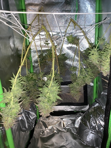 Growreport Bild 4