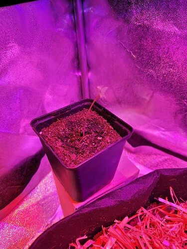 Growreport Bild 6