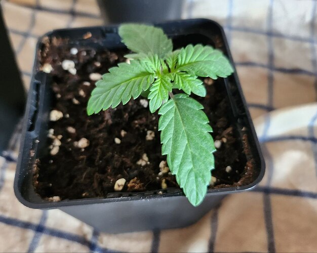 photo_2023-08-08_13-17-26