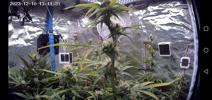 Growreport Bild 27