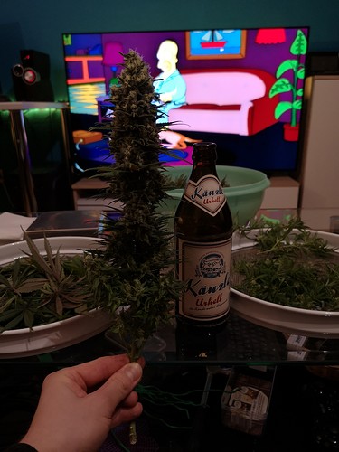 Growreport Bild 3