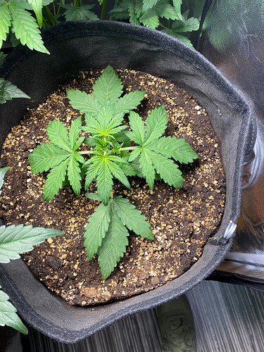 Growreport Bild 10