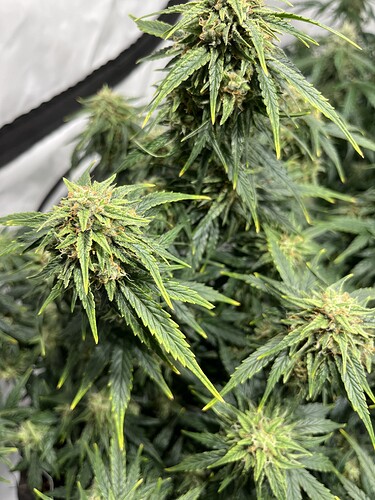 Growreport Bild 22