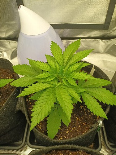 Growreport Bild 11