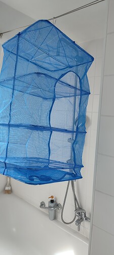 IMG_20230807_150204