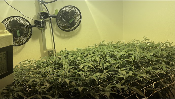 Growreport Bild 4