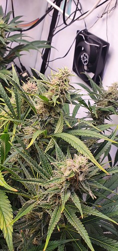 Growreport Bild 16