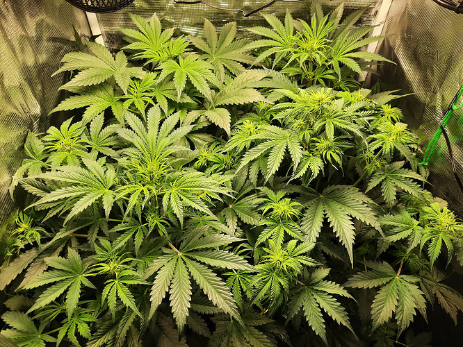 Growreport Bild 9