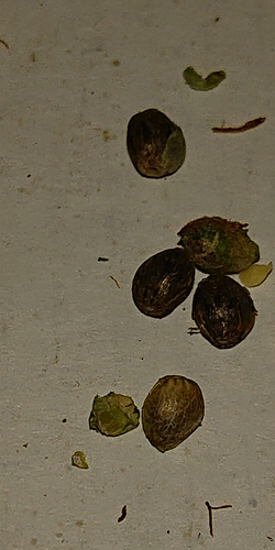 Growreport Bild 6