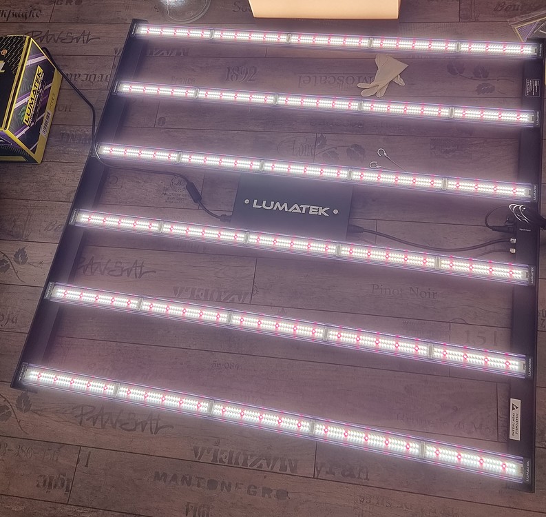 Erster Grow-Report // Auto Mix // NDL // Lumatek LED // Autopot // Plagron