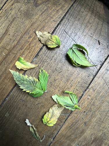Growreport Bild 11