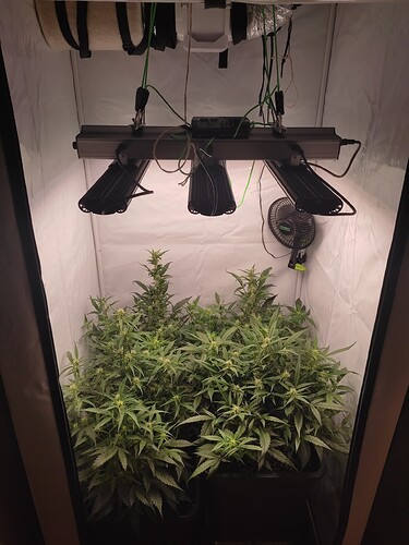 Growreport Bild 2