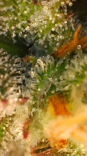 Growreport Bild 12