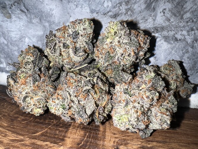 Growreport Bild 18
