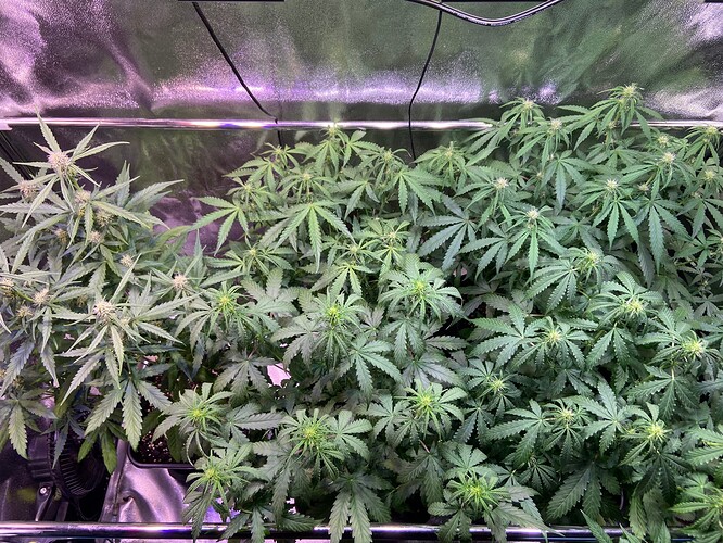 Growreport Bild 6