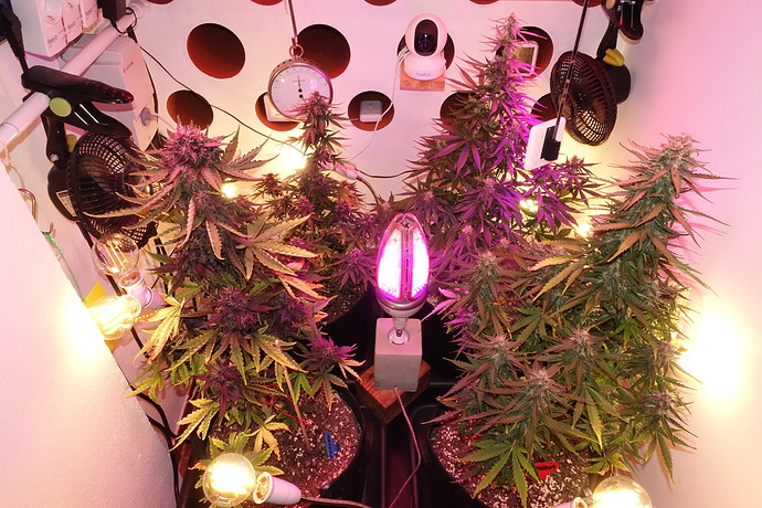 Growreport Bild 6