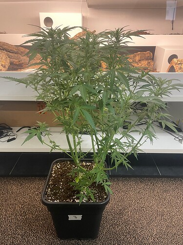 Growreport Bild 21