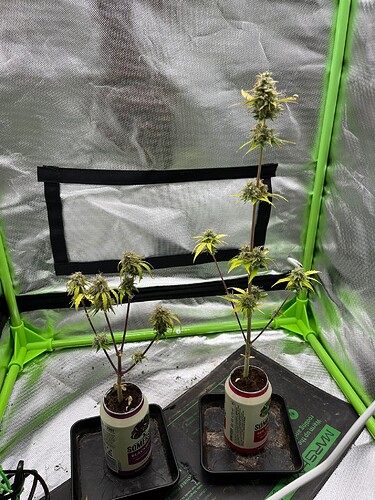 Growreport Bild 24