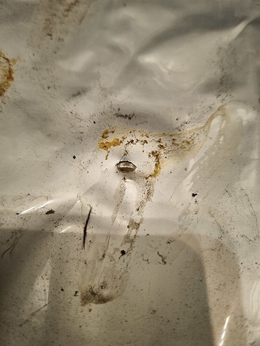 Growreport Bild 32