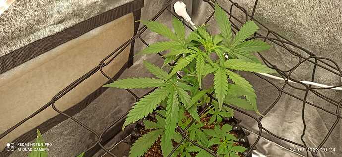 IMG-20230924-WA0008