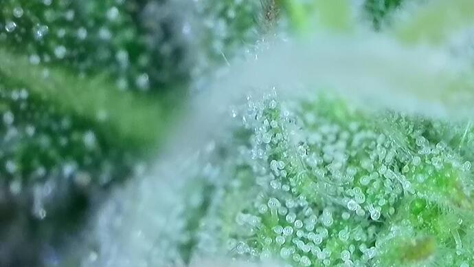 signal-2022-10-25-191504_008