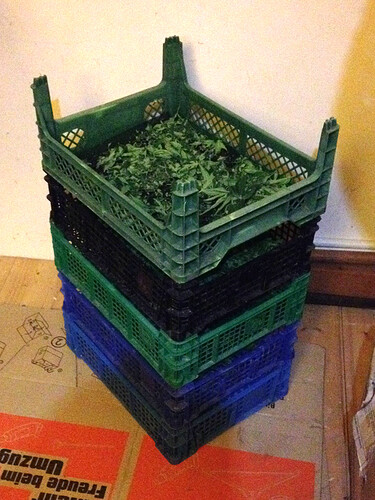 Growreport Bild 21