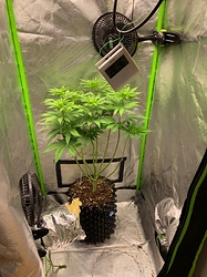Growreport Bild 1