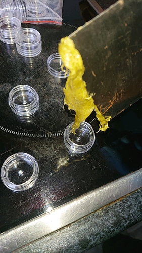 obscura1607944741227