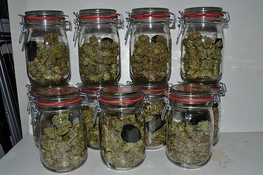 Growreport Bild 5