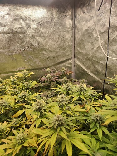 Growreport Bild 7