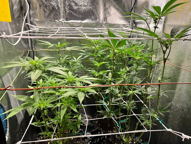 Growreport Bild 6