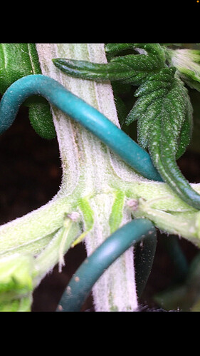 Growreport Bild 21