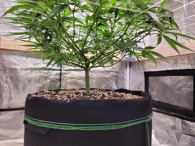 Growreport Bild 7