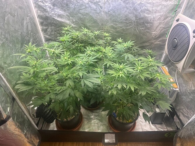 Growreport Bild 2