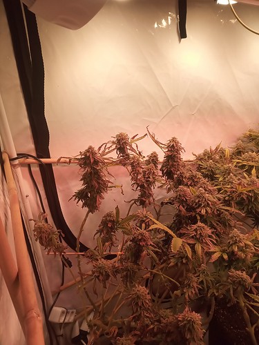 Growreport Bild 9
